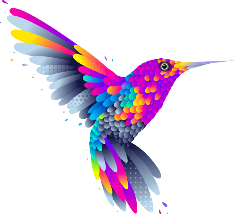 bird colors