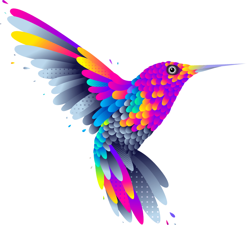bird colors
