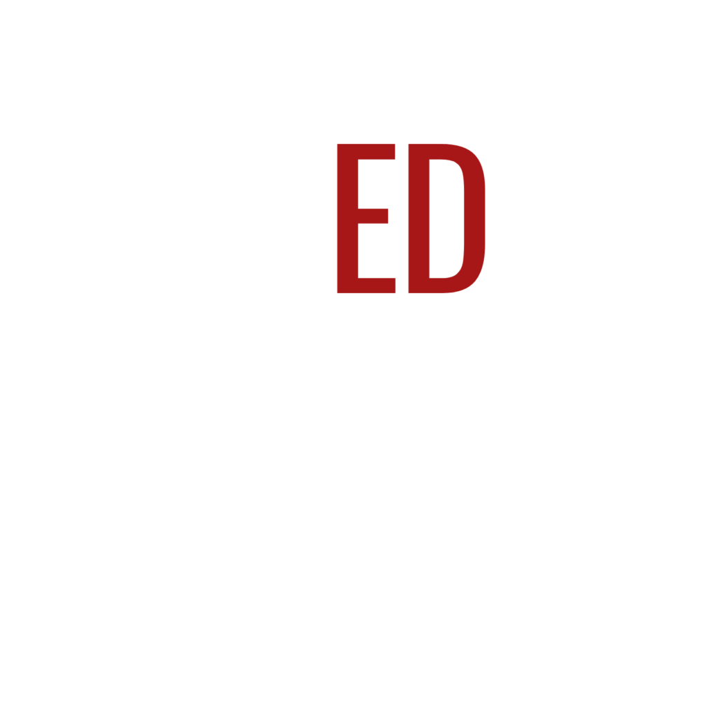 REDWEB logo new red